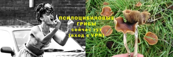 винт Бежецк