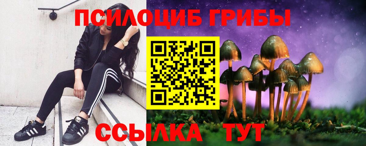 Псилоцибиновые грибы MAGIC MUSHROOMS Урус-Мартан