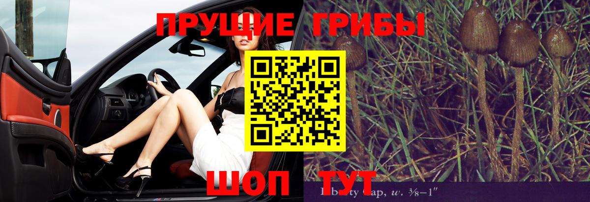 Урус-Мартан  A-PVP СК   МЕФ   МАРИХУАНА  ГАШИШ 