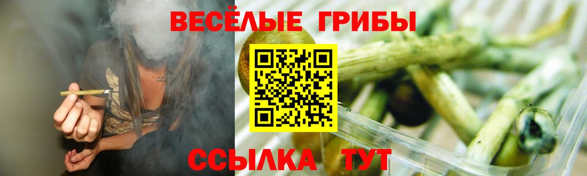 купить   Урус-Мартан  Псилоцибиновые грибы MAGIC MUSHROOMS 
