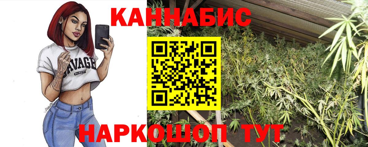 МАРИХУАНА тримм  Бошки Шишки AK-47  Каннабис планчик  Урус-Мартан 